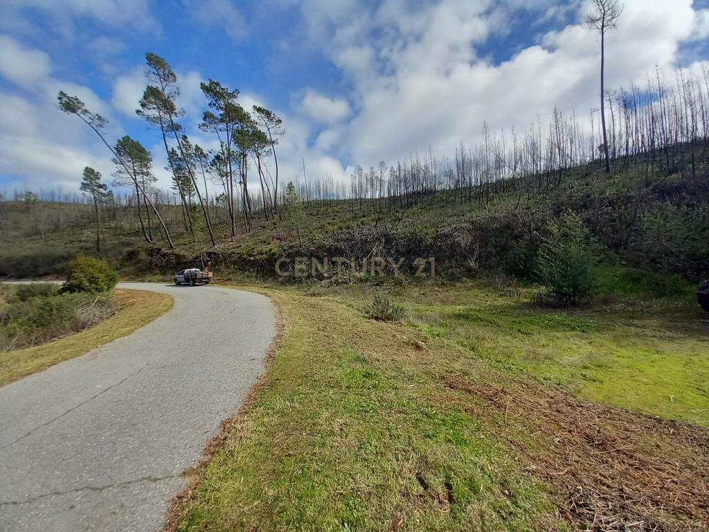 Terreno Rustico com 1450m2 Cerejeira-Alvito da Beira - Image 5